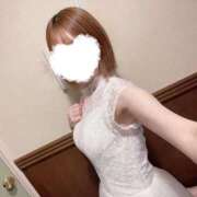 まほ 12月の予定 吉原ファーストレディ