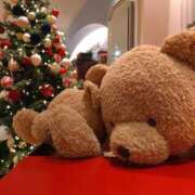 ヒメ日記 2024/12/16 21:24 投稿 らら 吉原ファーストレディ