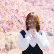 ヒメ日記 2025/01/18 08:56 投稿 らら 吉原ファーストレディ