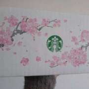 ヒメ日記 2025/02/15 13:13 投稿 らら 吉原ファーストレディ