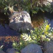 ヒメ日記 2025/02/18 08:56 投稿 らら 吉原ファーストレディ