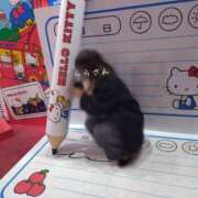 ヒメ日記 2025/02/22 12:46 投稿 らら 吉原ファーストレディ