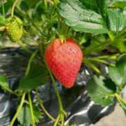 ヒメ日記 2025/03/22 21:16 投稿 らら 吉原ファーストレディ