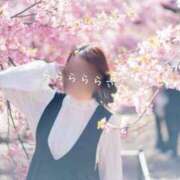 ヒメ日記 2025/04/09 18:26 投稿 らら 吉原ファーストレディ