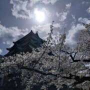 ヒメ日記 2025/04/09 21:26 投稿 らら 吉原ファーストレディ