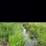 ヒメ日記 2025/04/23 23:36 投稿 らら 吉原ファーストレディ