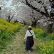 ヒメ日記 2025/05/04 21:17 投稿 らら 吉原ファーストレディ