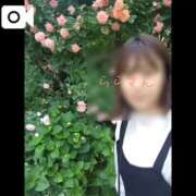 ヒメ日記 2025/05/22 21:16 投稿 らら 吉原ファーストレディ