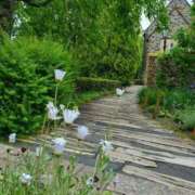 ヒメ日記 2025/05/29 12:17 投稿 らら 吉原ファーストレディ