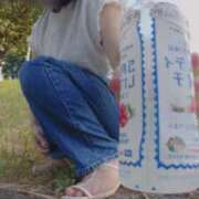 ヒメ日記 2025/07/03 17:31 投稿 らら 吉原ファーストレディ