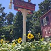 ヒメ日記 2025/08/03 13:22 投稿 らら 吉原ファーストレディ