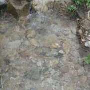 ヒメ日記 2025/08/04 16:46 投稿 らら 吉原ファーストレディ