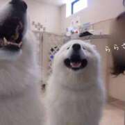 ヒメ日記 2025/08/05 00:02 投稿 らら 吉原ファーストレディ