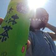 ヒメ日記 2025/08/17 13:46 投稿 らら 吉原ファーストレディ