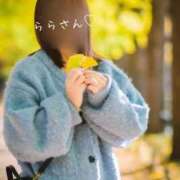 ヒメ日記 2025/11/20 00:06 投稿 らら 吉原ファーストレディ