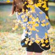 ヒメ日記 2025/11/20 14:01 投稿 らら 吉原ファーストレディ