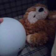 ヒメ日記 2025/11/25 12:52 投稿 らら 吉原ファーストレディ