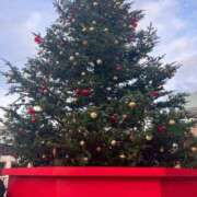らら クリスマスツリー🎄とご予約♡ 吉原ファーストレディ