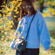 ヒメ日記 2025/12/08 17:16 投稿 らら 吉原ファーストレディ