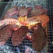 ヒメ日記 2025/12/13 00:17 投稿 らら 吉原ファーストレディ