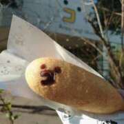 ヒメ日記 2026/01/25 01:16 投稿 らら 吉原ファーストレディ