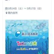 ヒメ日記 2026/01/28 21:46 投稿 らら 吉原ファーストレディ