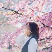 ヒメ日記 2026/02/06 17:29 投稿 らら 吉原ファーストレディ