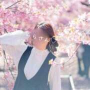 ヒメ日記 2026/02/24 08:49 投稿 らら 吉原ファーストレディ