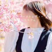 ヒメ日記 2026/02/28 07:46 投稿 らら 吉原ファーストレディ