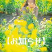 ヒメ日記 2026/03/01 18:19 投稿 らら 吉原ファーストレディ