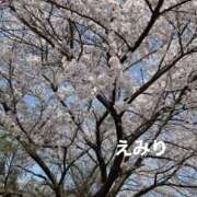 ヒメ日記 2026/03/19 14:56 投稿 えみり 吉原ファーストレディ