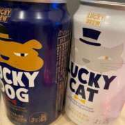 ヒメ日記 2024/12/19 08:08 投稿 あや 吉原ファーストレディ