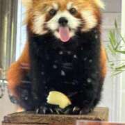 ヒメ日記 2025/01/03 13:59 投稿 あや 吉原ファーストレディ