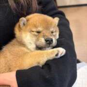 ヒメ日記 2025/02/03 20:46 投稿 あや 吉原ファーストレディ