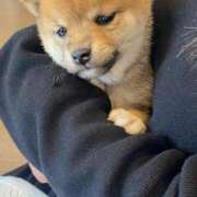 ヒメ日記 2025/02/16 13:56 投稿 あや 吉原ファーストレディ