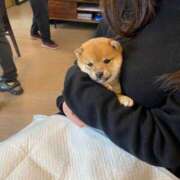 ヒメ日記 2025/02/20 08:16 投稿 あや 吉原ファーストレディ