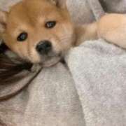 ヒメ日記 2025/02/25 23:30 投稿 あや 吉原ファーストレディ