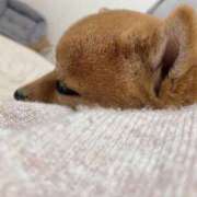 ヒメ日記 2025/02/27 06:35 投稿 あや 吉原ファーストレディ