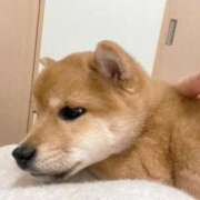 ヒメ日記 2025/03/06 07:58 投稿 あや 吉原ファーストレディ