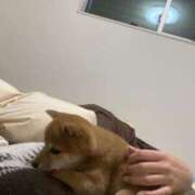 ヒメ日記 2025/03/09 10:39 投稿 あや 吉原ファーストレディ