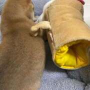 ヒメ日記 2025/03/13 07:07 投稿 あや 吉原ファーストレディ