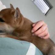 ヒメ日記 2025/03/20 00:30 投稿 あや 吉原ファーストレディ