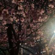 ヒメ日記 2025/03/24 07:23 投稿 あや 吉原ファーストレディ