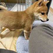 ヒメ日記 2025/03/28 05:26 投稿 あや 吉原ファーストレディ