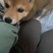 ヒメ日記 2025/04/02 15:56 投稿 あや 吉原ファーストレディ