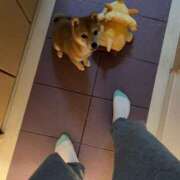 ヒメ日記 2025/04/05 20:36 投稿 あや 吉原ファーストレディ