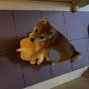 ヒメ日記 2025/04/08 02:46 投稿 あや 吉原ファーストレディ