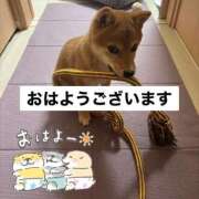 ヒメ日記 2025/04/13 05:39 投稿 あや 吉原ファーストレディ