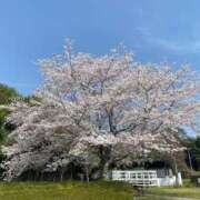 ヒメ日記 2025/04/14 18:54 投稿 あや 吉原ファーストレディ
