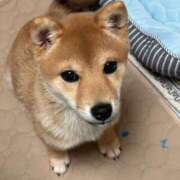 ヒメ日記 2025/04/20 16:06 投稿 あや 吉原ファーストレディ